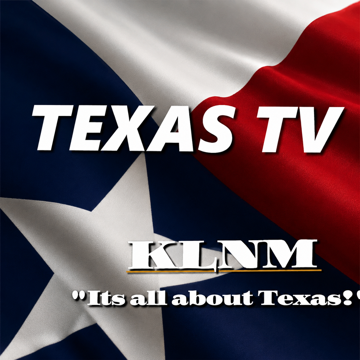 Texas TV logo